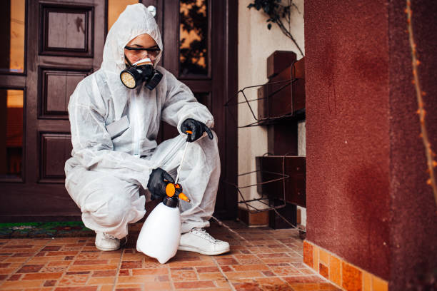Reliable Wasp Removal contractor in Coralville, IA by Show Me Pest Control